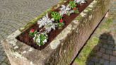 SPD-Frauen bepflanzen die Blumentröge vor der Otterberger Kirche